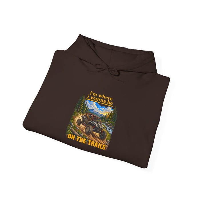 Hoodie - 'Adventure On The Trails' Vintage Bear & Mountain Graphic Hoodie