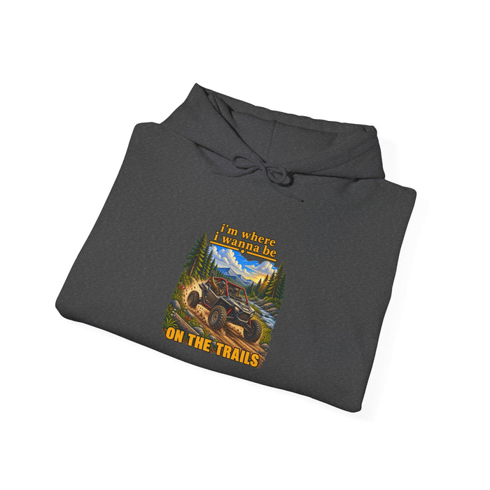 Hoodie - 'Adventure On The Trails' Vintage Bear & Mountain Graphic Hoodie