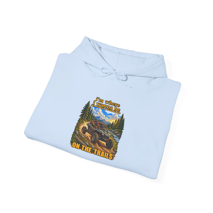 Hoodie - 'Adventure On The Trails' Vintage Bear & Mountain Graphic Hoodie