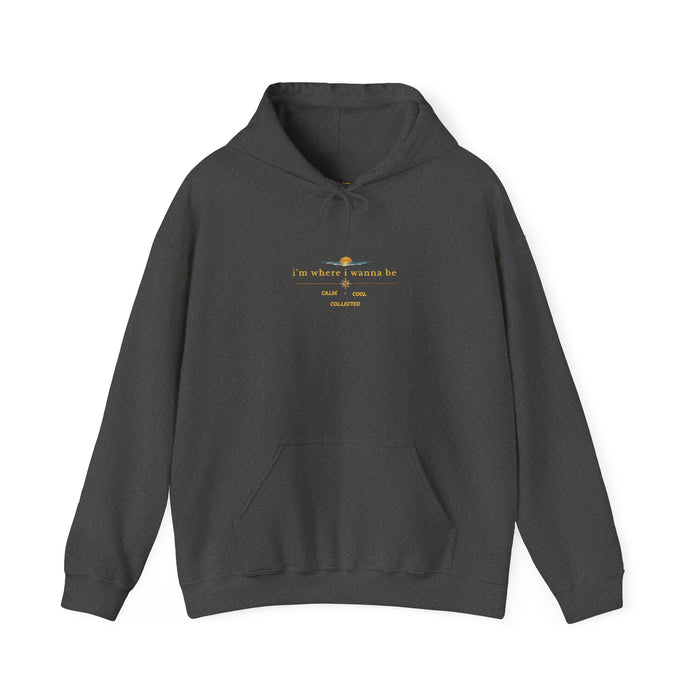 Hoodie — 'Do What You Love' Minimal Sunrise Graphic Hooded Sweatshirt