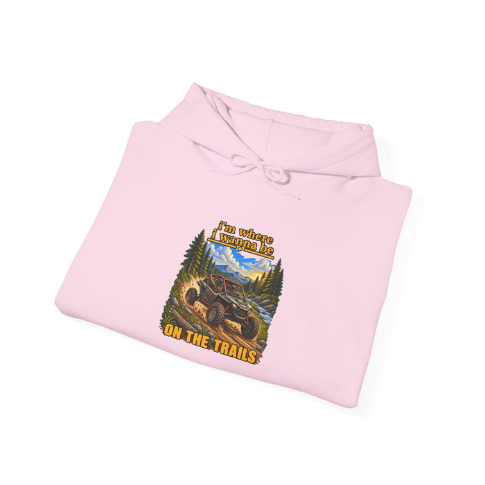 Hoodie - 'Adventure On The Trails' Vintage Bear & Mountain Graphic Hoodie