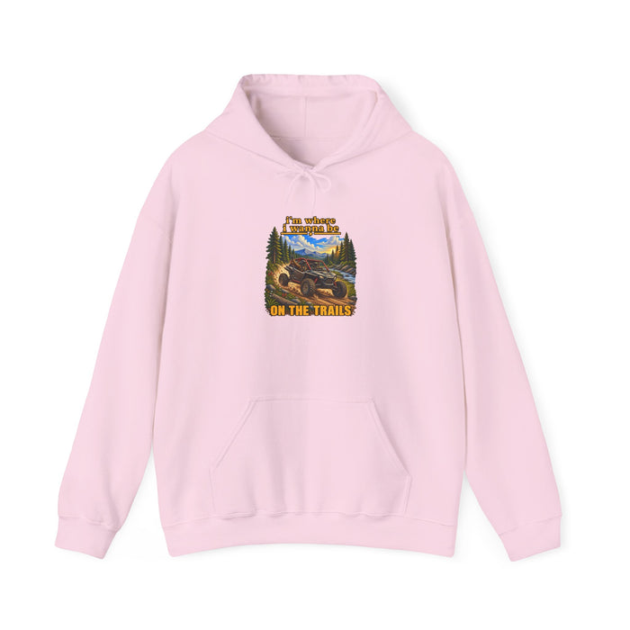 Hoodie - 'Adventure On The Trails' Vintage Bear & Mountain Graphic Hoodie