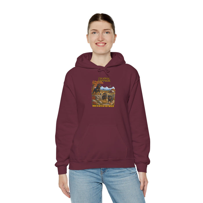 Hiking Retro Mountain Hoodie — "Don't Compare Your Journey" Scenic Graphic