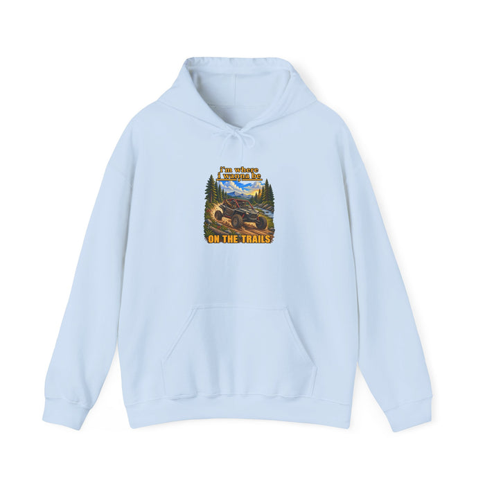 Hoodie - 'Adventure On The Trails' Vintage Bear & Mountain Graphic Hoodie