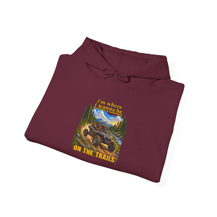 Hoodie - 'Adventure On The Trails' Vintage Bear & Mountain Graphic Hoodie