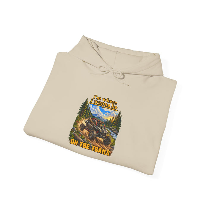 Hoodie - 'Adventure On The Trails' Vintage Bear & Mountain Graphic Hoodie