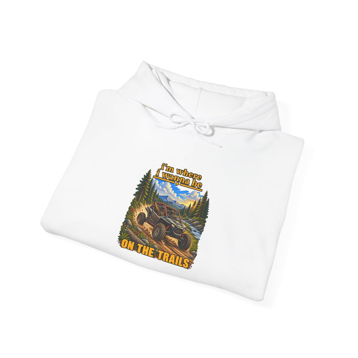 Hoodie - 'Adventure On The Trails' Vintage Bear & Mountain Graphic Hoodie
