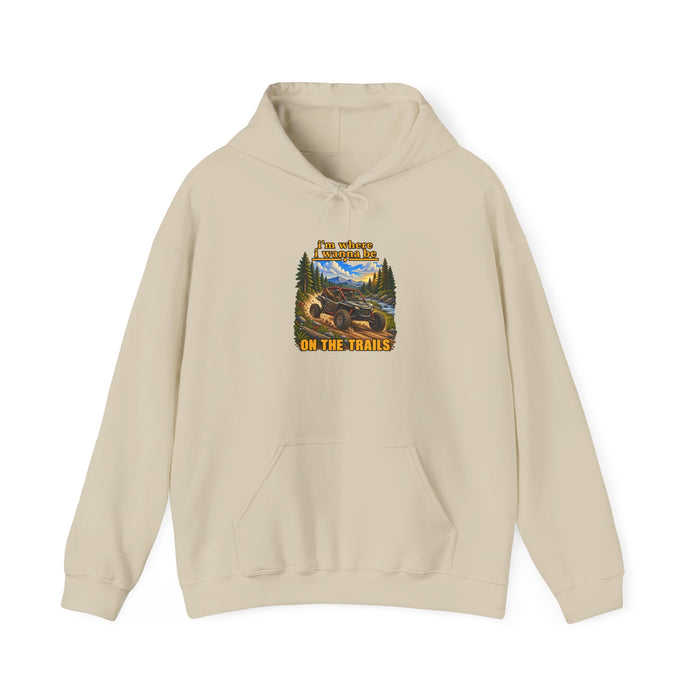 Hoodie - 'Adventure On The Trails' Vintage Bear & Mountain Graphic Hoodie