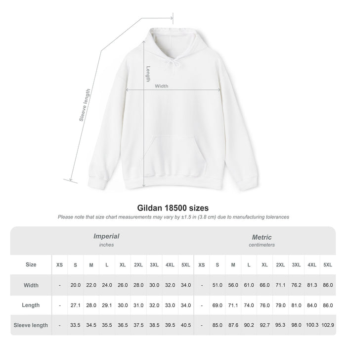 I've Got This Hoodie — "I'm working on plan B" Motivational Pullover