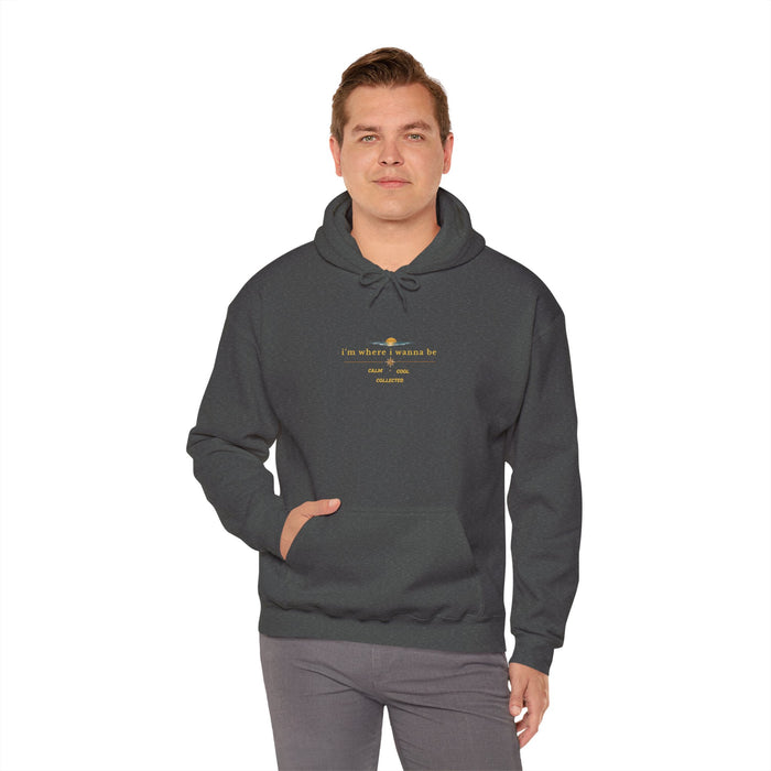 Hoodie — 'Do What You Love' Minimal Sunrise Graphic Hooded Sweatshirt