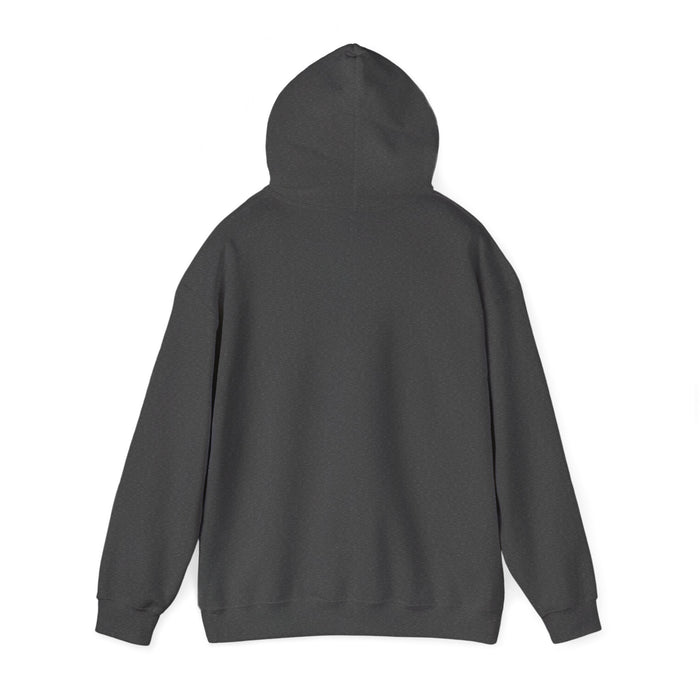 Hoodie - "I'm Stronger When My Family" Sunset Family Mountain Graphic Hooded Sweatshirt