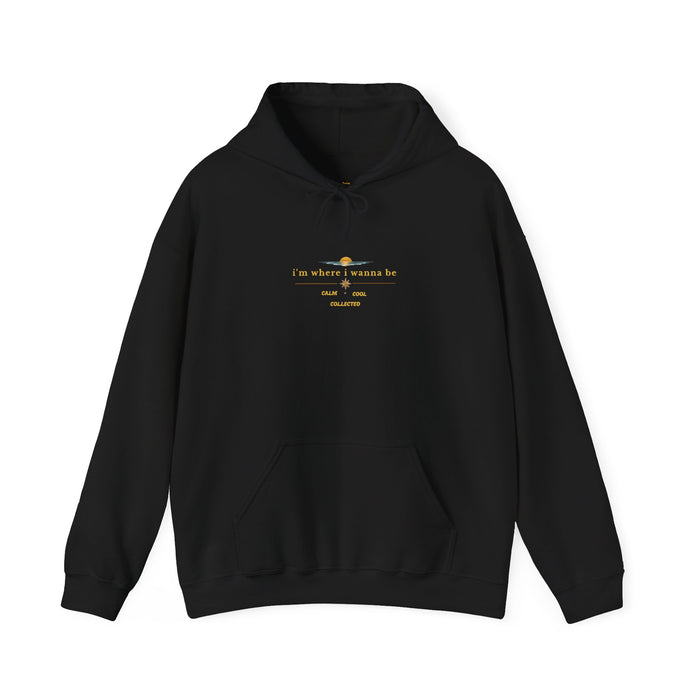Hoodie — 'Do What You Love' Minimal Sunrise Graphic Hooded Sweatshirt