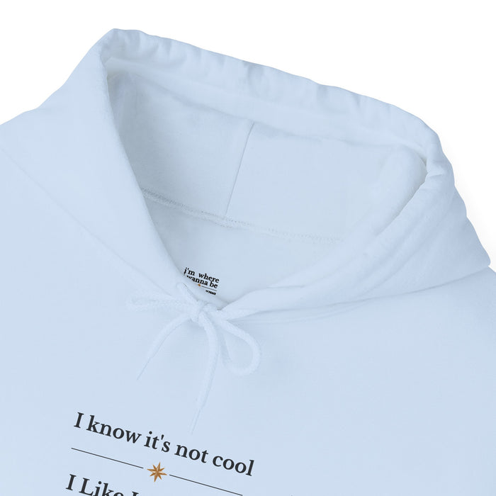 Hoodie – "I Know It’s Not Cool, I Like It Anyway" Minimal Graphic Sweatshirt