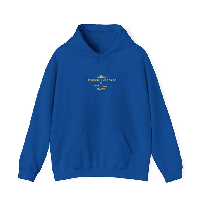 Hoodie — 'Do What You Love' Minimal Sunrise Graphic Hooded Sweatshirt