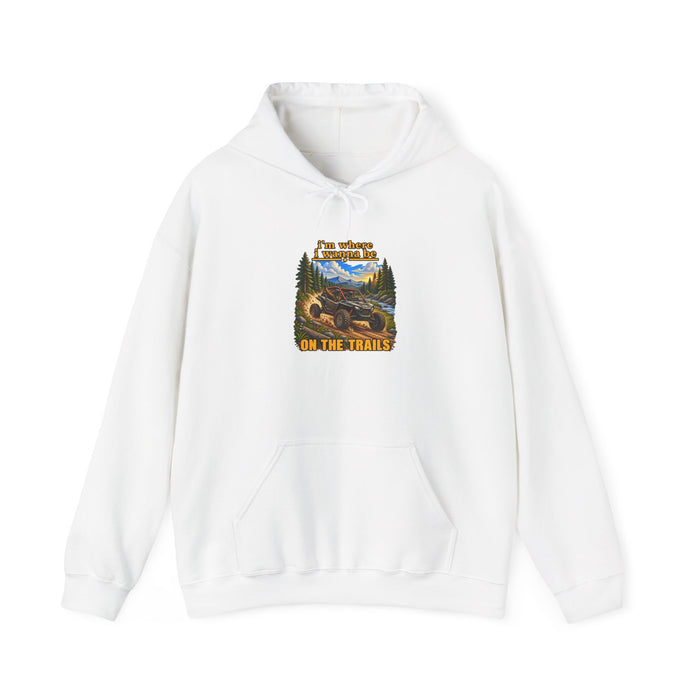 Hoodie - 'Adventure On The Trails' Vintage Bear & Mountain Graphic Hoodie