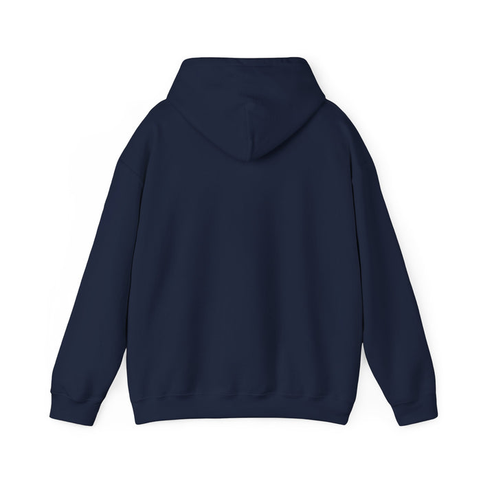 Hoodie — 'Do What You Love' Minimal Sunrise Graphic Hooded Sweatshirt