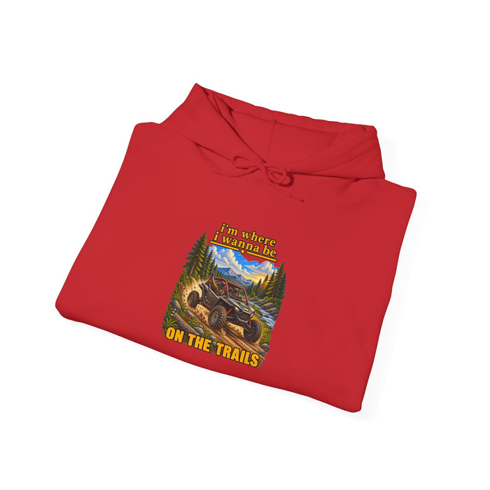 Hoodie - 'Adventure On The Trails' Vintage Bear & Mountain Graphic Hoodie