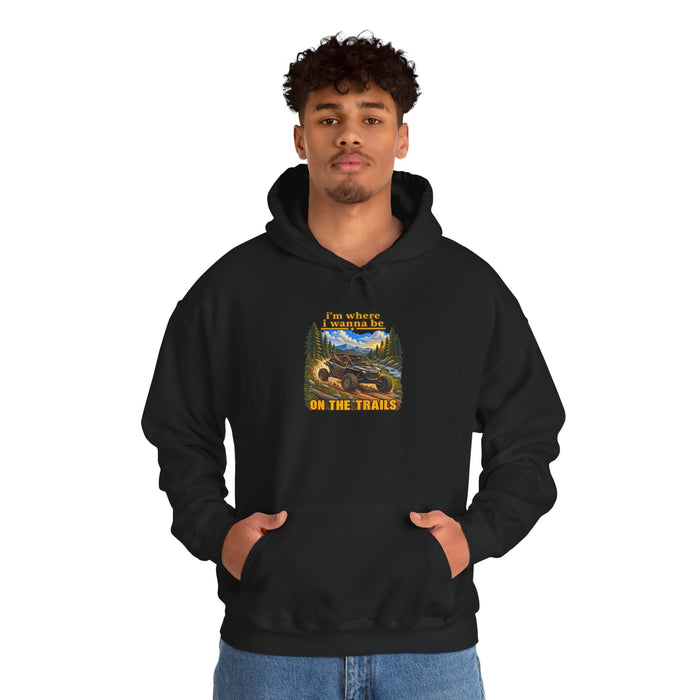 Hoodie -With my side by side Mountain Graphic Hoodie